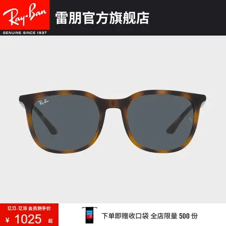 RayBan雷朋太阳镜方形板材大框时尚小脸墨镜0RB4386F商品大图