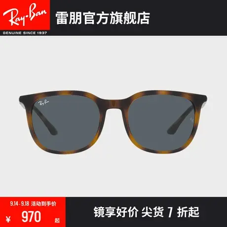 【2023新品】RayBan雷朋太阳镜方形板材大框时尚小脸墨镜0RB4386F商品大图
